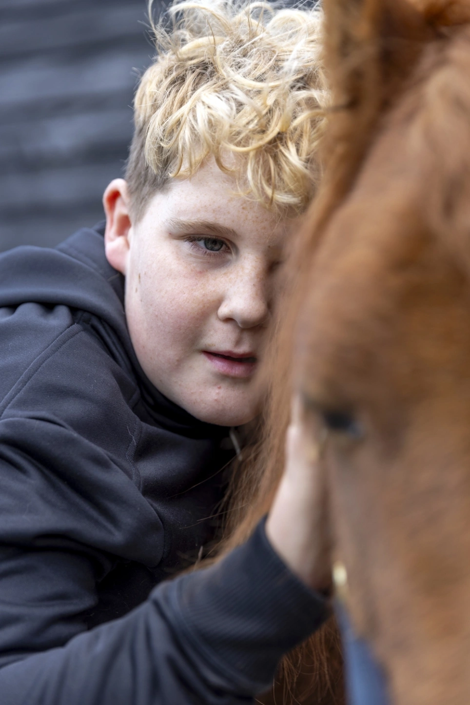 Jongen omhelst paard