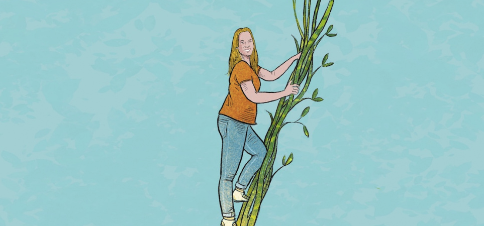 Groei lerarenopleidingen TT