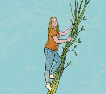 Groei lerarenopleidingen TT