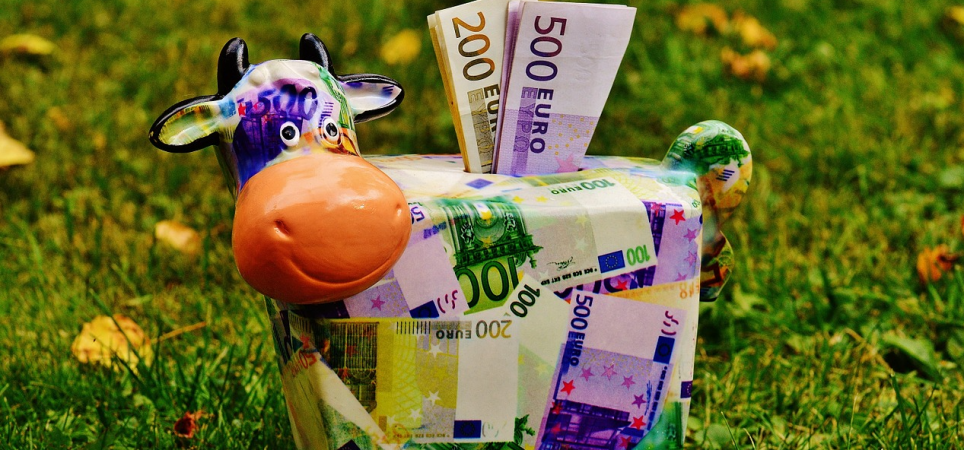 savings cow