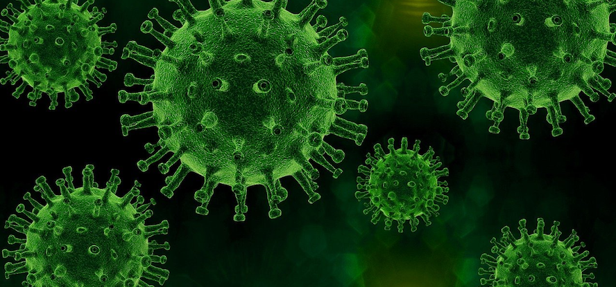 virus header