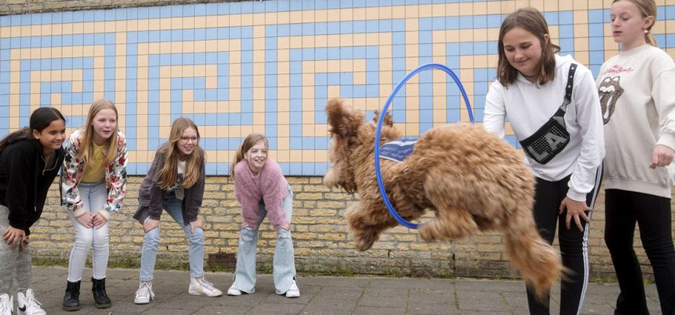 schoolhond-buddy-rob-niemantsverdriet