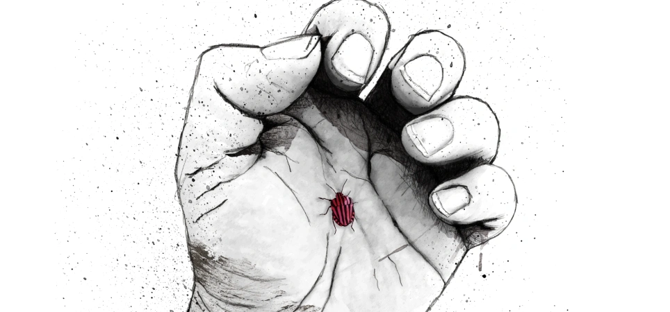 Aandacht voor iets kleins