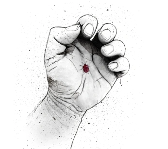 Aandacht voor iets kleins